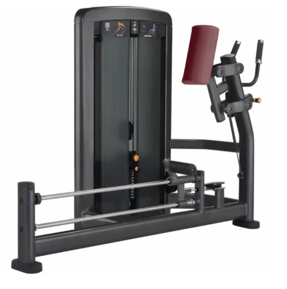 Insignia Series Glute