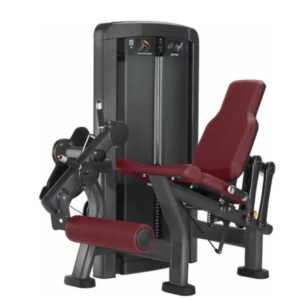 Insignia Series Leg Extension