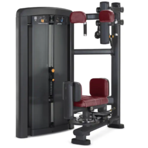 Insignia Series Torso Rotation