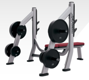 Olympic Bench Weight Storage