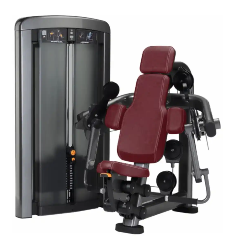 Insignia Series Biceps Curl