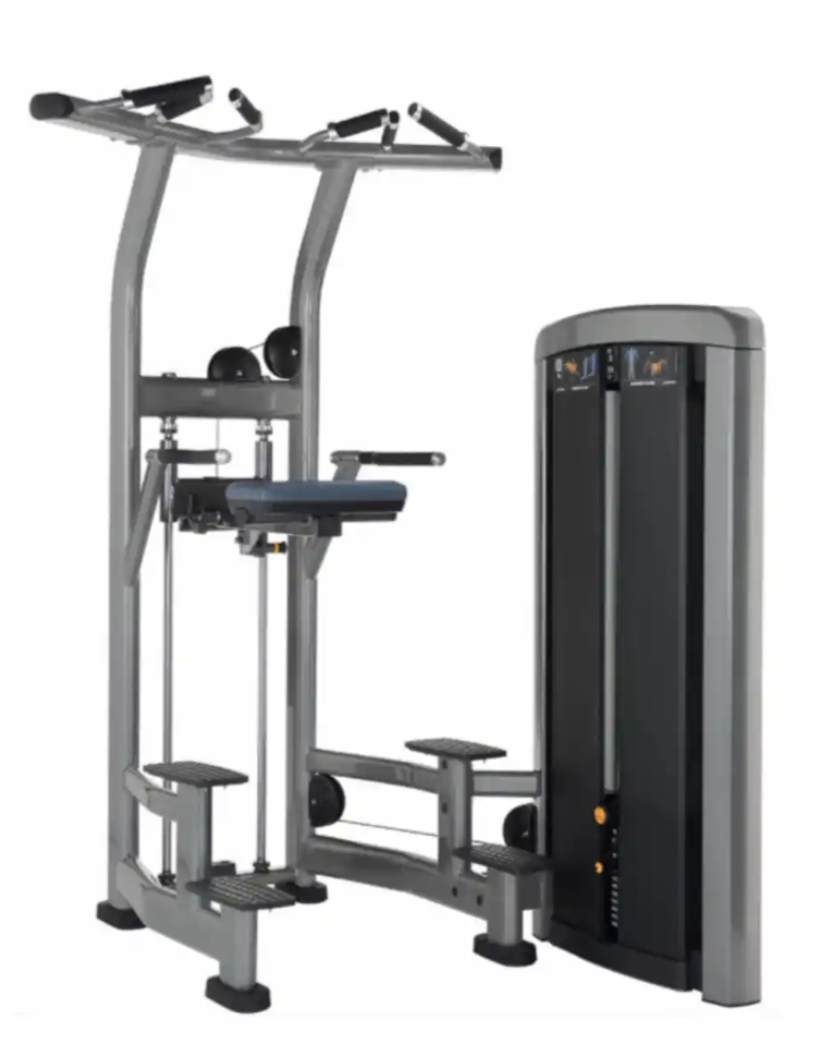 Insignia Series Assist Dip Chin